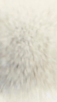 Fallout GIF by Youtooz