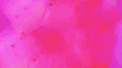 glitch valeriavlo GIF