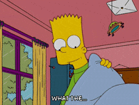 bart simpson wtf GIF