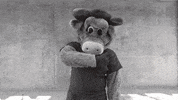Happy Help Me GIF by CSUDHTeddyToro