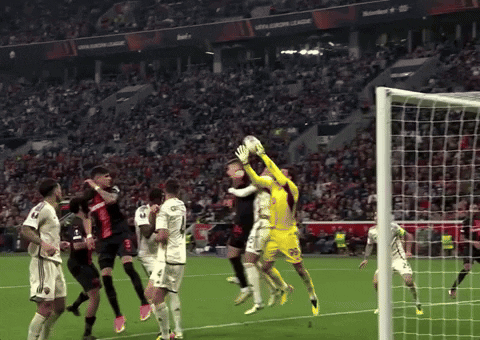 Europa League Football GIF by UEFA