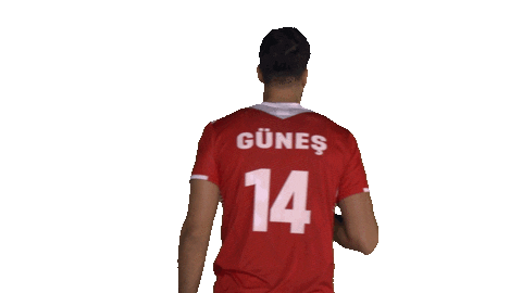 tvforgtr giphyupload volleyball voleybol tvf Sticker