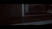 felipe pelaez GIF by Sony Music Colombia