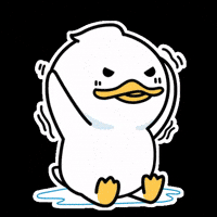 quackuio meme crypto duck quack GIF