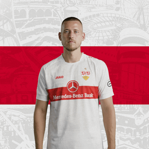 Waldemar Anton Mic Drop GIF by VfB Stuttgart
