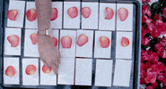 petals GIF by NOWNESS