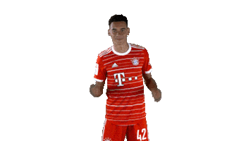 Football Smile Sticker by FC Bayern Munich