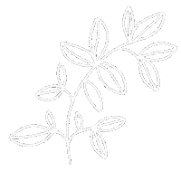 Flower New Post Sticker