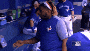 Major League Baseball Sport GIF by MLB