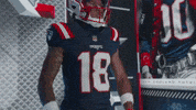 Kyle Williams Football GIF by New England Patriots