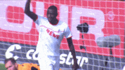 serhou guirassy soccer GIF by 1. FC Köln