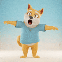 Shiba Inu Wow GIF by Doge Pound