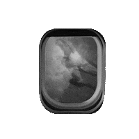 Under The Sea Swimming Sticker