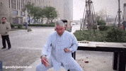 Kung Fu Funny Reaction GIF