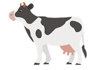 sun pays Sticker by Friesland Campina