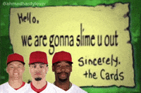 Baseball Cardinals GIF