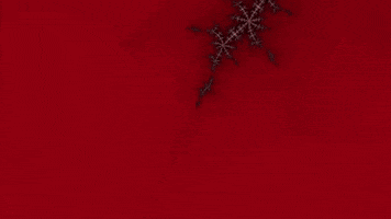 Benoit Mandelbrot Lsd GIF by xponentialdesign
