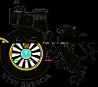 Gestore_Materiali_Nazionale rt37 round table brescia roundtablebrescia GIF