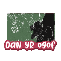 Ysgol Dyffryn Y Glowyr Sticker