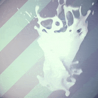 GIF by hamasakihaus