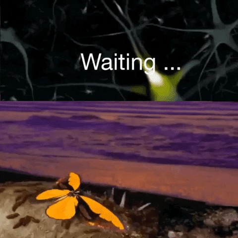 Lupoavanti girl sad thinking death GIF