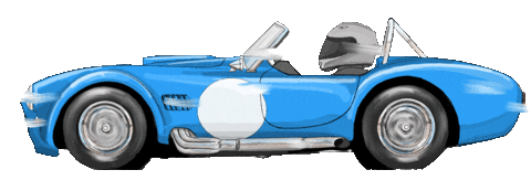 Cobra Shelby Sticker