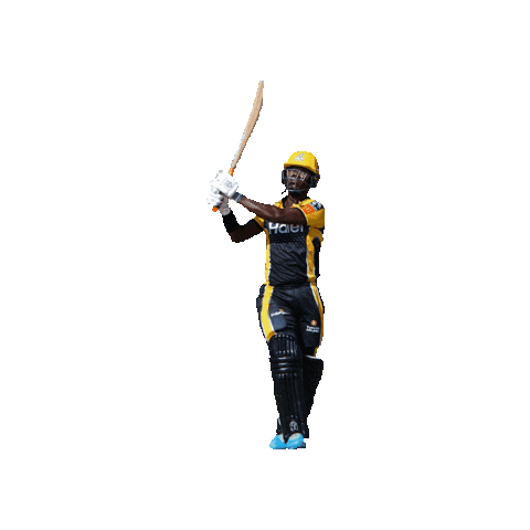 Rutherford Sticker by Peshawar Zalmi