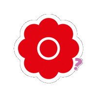 Fun Sticker by What's in Z Box