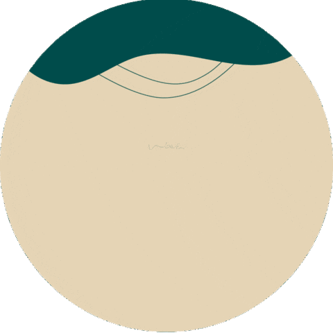 Direcionalwaveboaviagem Sticker by direcionalvendas