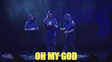 Oh My God Omg GIF by FoilArmsandHog