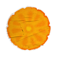 Fruit Pineapple Sticker by Extrafruti