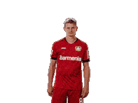 Bayer 04 Peace Sticker by Bayer 04 Leverkusen