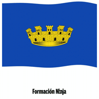 Flag Spain GIF by Formación Ninja