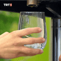 Give Me Want GIF by TRT