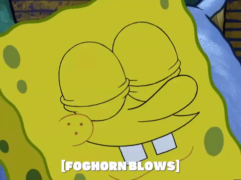 season 5 GIF by SpongeBob SquarePants