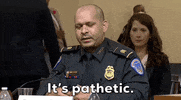 January 6 GIF by GIPHY News