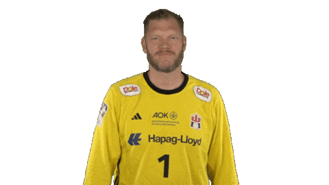 Handball-Bundesliga Love Sticker by LIQUI MOLY HBL