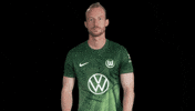 Germany No GIF by VfL Wolfsburg