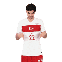 Ay Yildiz Millitakim Sticker by Kaan Ayhan