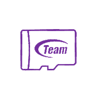 T-Force Team Sticker by TEAMGROUP