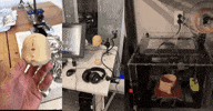 Paper Bag Animation GIF by Alex Boya