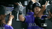 major league baseball sport GIF by MLB