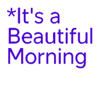 Sun Morning Sticker