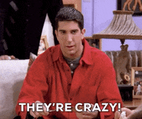 season 1 friends GIF