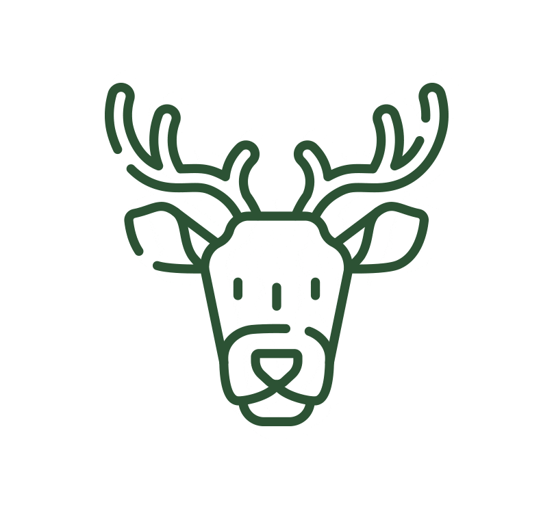 Travel Viaje Sticker by Icárion