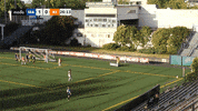 reign fc goal GIF by Seattle Reign FC