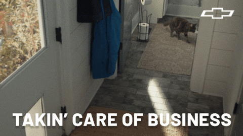 Cat GIF by Chevrolet
