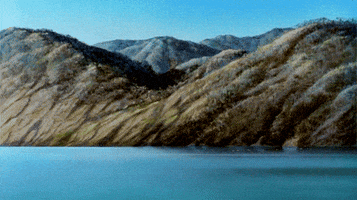 hayao miyazaki GIF by Maudit