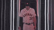 World Series Baseball GIF by MLB