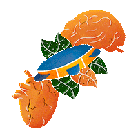 MacawBrasil agencia transparente macaw agencia de publicidade Sticker